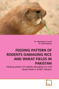 FEEDING PATTERN OF RODENTS DAMAGING RICE AND WHEAT FIELDS IN PAKISTAN - Tousif, Shaherbano;Rehana, Rafia