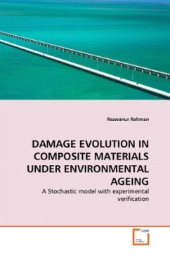 DAMAGE EVOLUTION IN COMPOSITE MATERIALS UNDER ENVIRONMENTAL AGEING