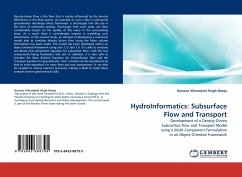 HydroInformatics: Subsurface Flow and Transport