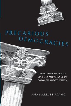 Cover Precarious Democracies