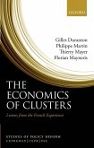 The Economics of Clusters: Lessons from the French Experience