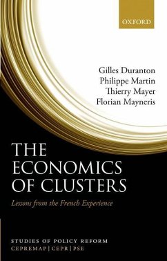 The Economics of Clusters: Lessons from the French Experience - Duranton, Gilles; Martin, Philippe; Mayer, Thierry