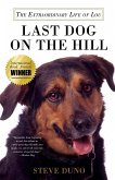 Last Dog on the Hill