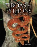 Boas and Pythons of the World