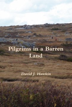 Pilgrims in a Barren Land - Hawkin, David J.