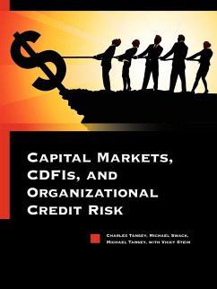 Capital Markets, CDFIs, and Organizational Credit Risk - Tansey, Charles; Swack, Michael; Tansey, Michael