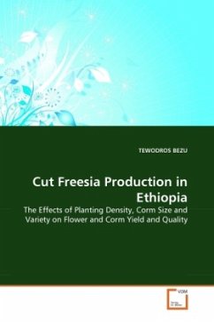 Cut Freesia Production in Ethiopia - BEZU, TEWODROS