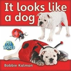 It Looks Like a Dog - Kalman, Bobbie