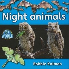 Night Animals - Kalman, Bobbie