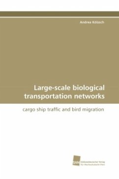 Large-scale biological transportation networks - Kölzsch, Andrea