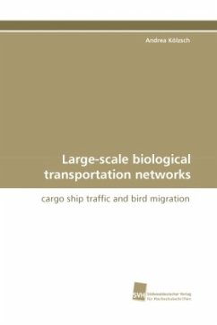 Large-scale biological transportation networks