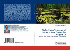 Water Stress Tolerance of Common Bean (Phaseolus vulgaris L.)