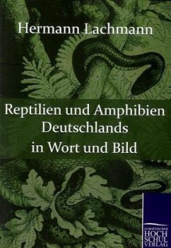 Reptilien und Amphibien Deutschlands in Wort und Bild - Lachmann, Hermann
