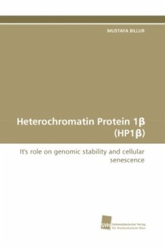 Heterochromatin Protein 1 (HP1 )