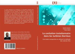 La cavitation instationnaire dans les turbines Darrieus - Sansone, Eugenio;Pellone, Christian;Maître, Thierry