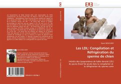 Les LDL: Congélation Et Réfrigération Du Sperme de Chien - BENCHARIF, Djemil