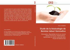 Etude de la bioécologie de Bemisia tabaci Gennadius - GNANKINE, Olivier