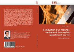 Combustion d''un mélange méthane-air hétérogène globalement pauvre - malheiro, salvador