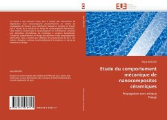 Etude du comportement mécanique de nanocomposites céramiques - BENZAID, Rajaa