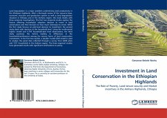 Investment in Land Conservation in the Ethiopian Highlands