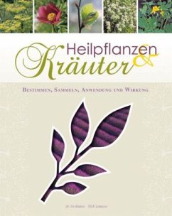 Heilpflanzen & Kräuter - Künkele, Ute; Lohmeyer, Till R.