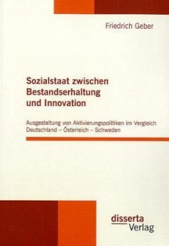 Sozialstaat zwischen Bestandserhaltung und Innovation - Geber, Friedrich