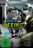 Im Busch von Mexiko - Das Rätsel B. Traven Im Busch von Mexiko - Das Rätsel B. Traven