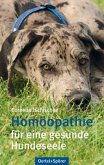 Homoöpathie für eine gesunde Hundeseele