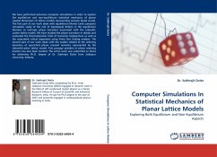 Computer Simulations In Statistical Mechanics of Planar Lattice Models