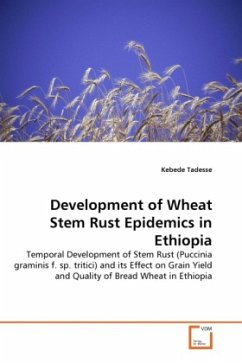 Development of Wheat Stem Rust Epidemics in Ethiopia