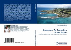 Seagrasses: An Ecosystem Under Threat