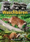 Waschbären Waschbären