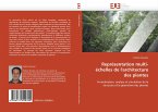 Représentation multi-échelles de l'architecture des plantes