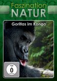 Faszination Natur - Gorillas im Kongo
