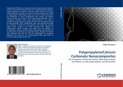 Polypropylene/Calcium Carbonate Nanocomposites - Marquina, Edgar