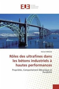 Rôles des ultrafines dans les bétons industriels à hautes performances - MBESSA, Michel