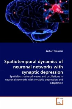 Spatiotemporal dynamics of neuronal networks with synaptic depression - Kilpatrick, Zachary