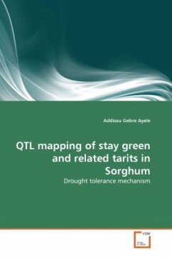 QTL mapping of stay green and related tarits in Sorghum - Ayele, Addissu Gebre