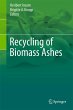 Recycling of Biomass Ashes - Bild 1