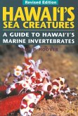 Hawaii's Sea Creatures