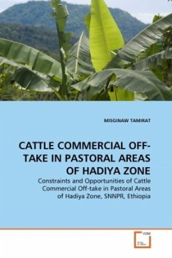 CATTLE COMMERCIAL OFF-TAKE IN PASTORAL AREAS OF HADIYA ZONE - TAMIRAT, MISGINAW