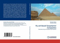 Fly ash Based Geopolymer Composites - Thakur, Ravindra;Ghosh, Somnath