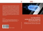 Les mécanismes moléculaires de l'évolution chez Escherichia coli
