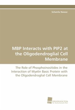 Cover MBP Interacts with PIP2 at the Oligodendroglial Cell Membrane
