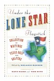 Under the Lone Star Flagstick