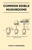 Common Edible Mushrooms