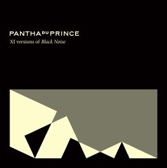 Xi Versions Of Black Noise - Pantha Du Prince