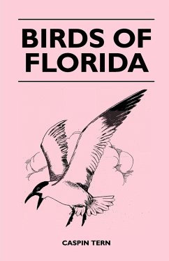 Birds of Florida