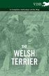 The Welsh Terrier - A Complete... - Bild 1