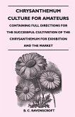 Chrysanthemum Culture For Amateurs